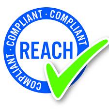 REACH logo1